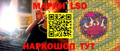 гашик Малоярославец