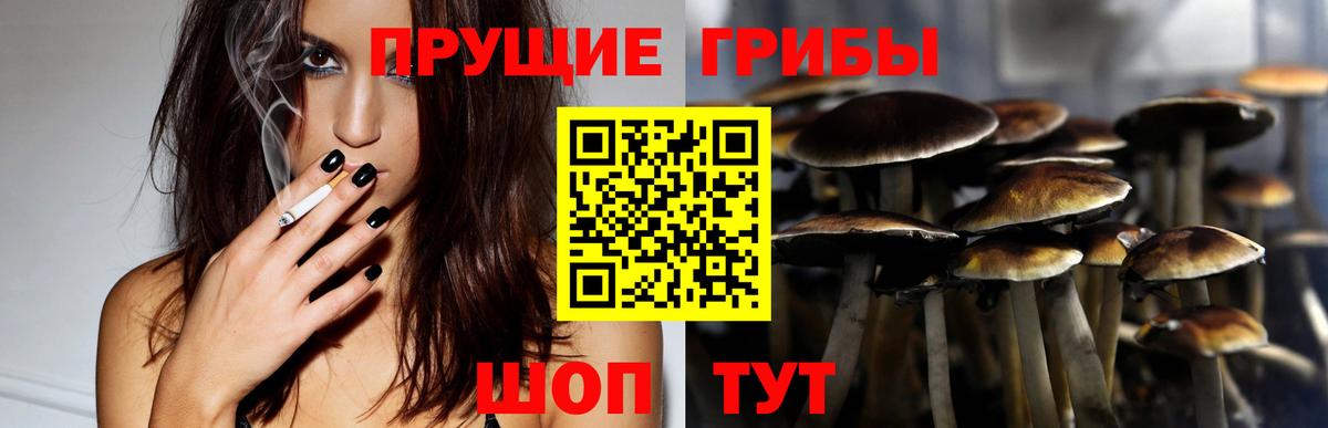 Дедовск  Псилоцибиновые грибы мицелий  Вход с VPN 